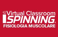 Fisiologia Muscolare